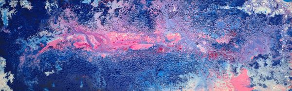 dragon 20 x 60 cm (en exposition indisponible).